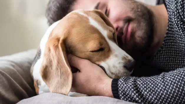 Scopri di più sull'articolo Perché il Cane Dorme Attaccato al Padrone (BRIVIDI!)