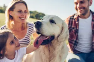 Scopri di più sull'articolo 1, 2…3! Trova il miglior cane da compagnia per la tua famiglia!